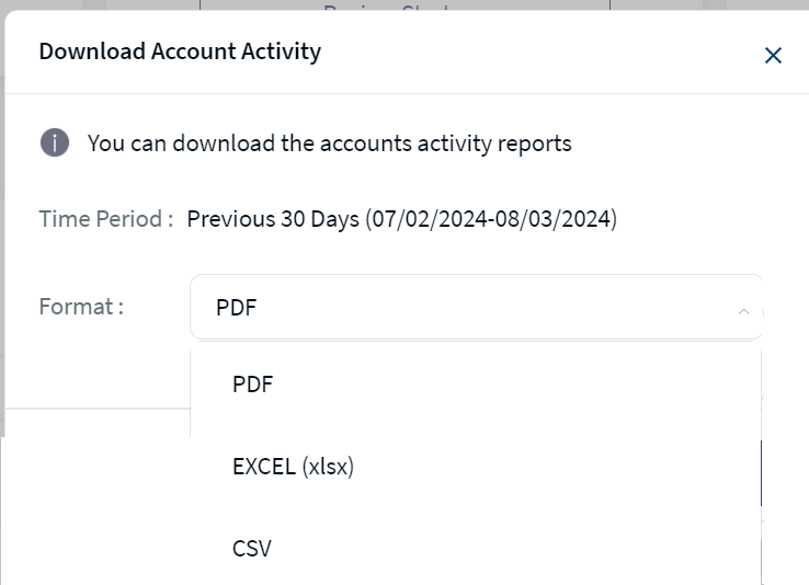 Accounts Activity Download options
